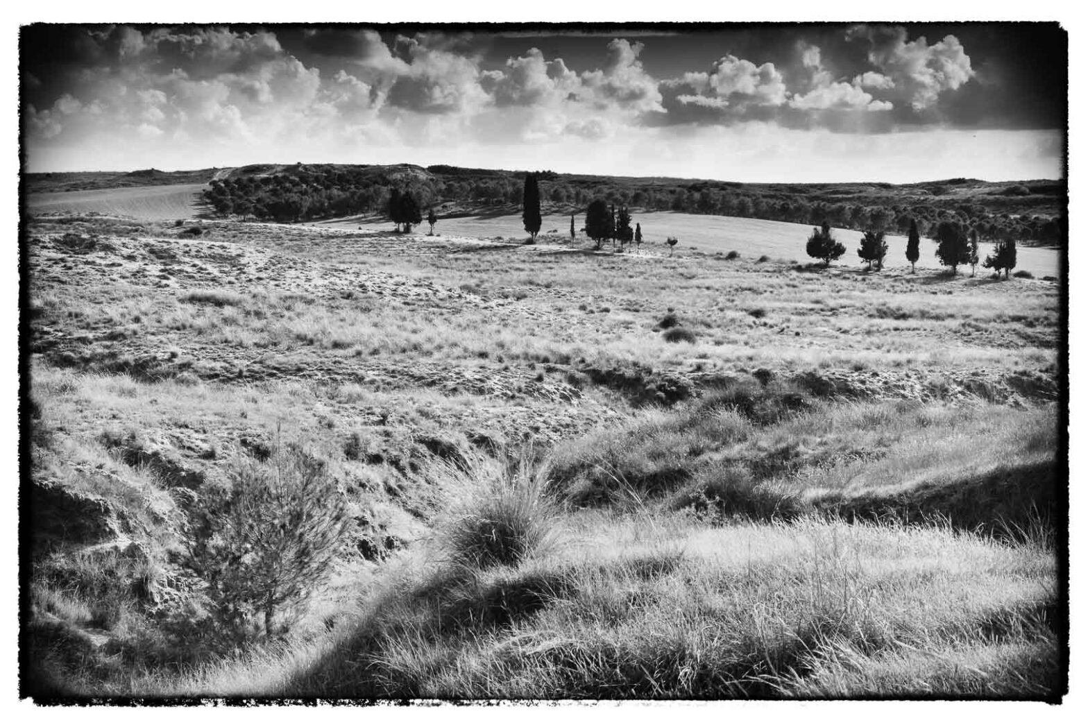 שמורת בארי דצמבר 2015