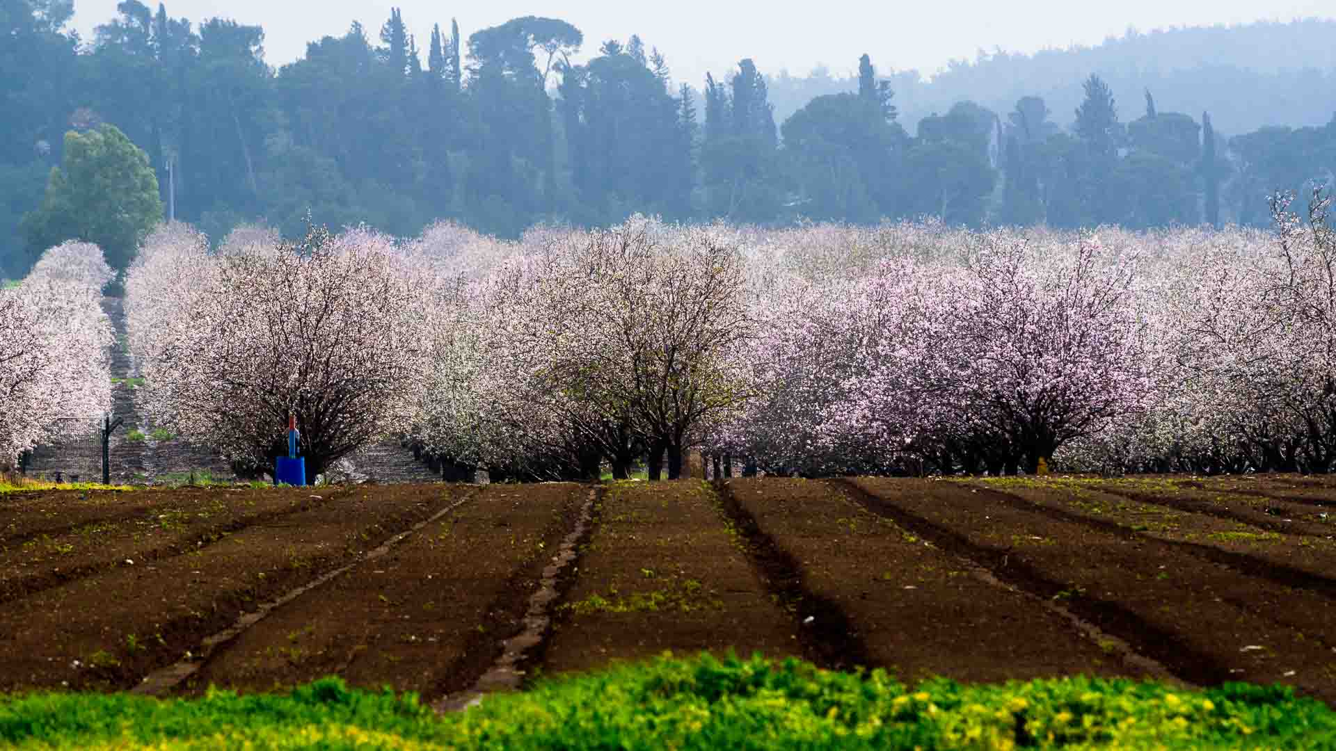 More of the Same Copy 3